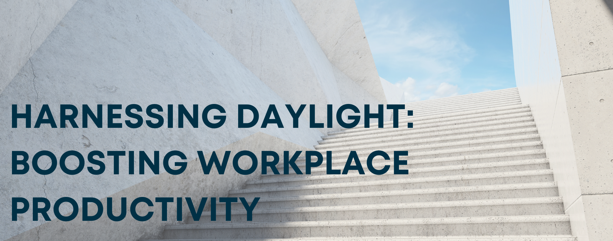 Harnessing daylight, boosting workplace productivity